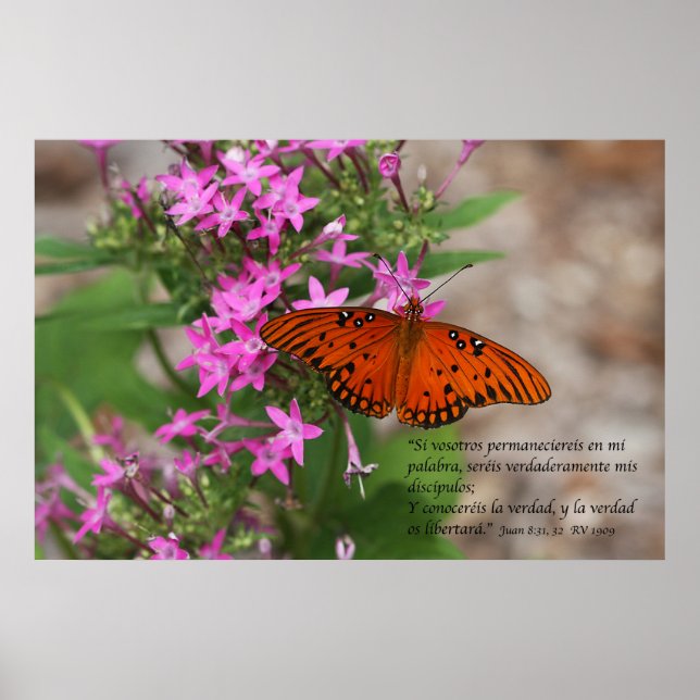 Juan 8:31, 32 con Mariposa Bukt Fritillary Poster (Framsidan)