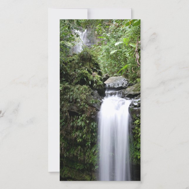 Juan Diego Falls (Framsida)