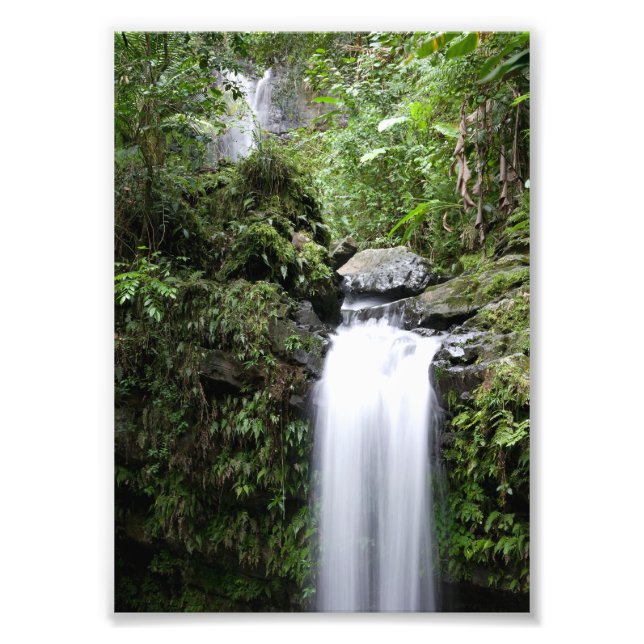 Juan Diego Falls Fototryck (Framsidan)