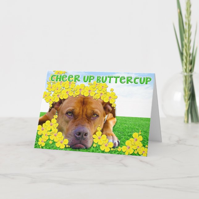 Jubel upp Buttercup! Kort (Framsida)