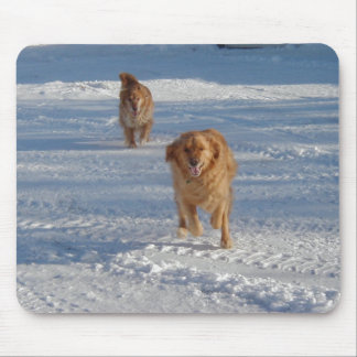 Jubilant springa musmatta