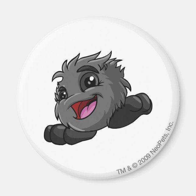 JubJub Shadow Magnet (Framsidan)