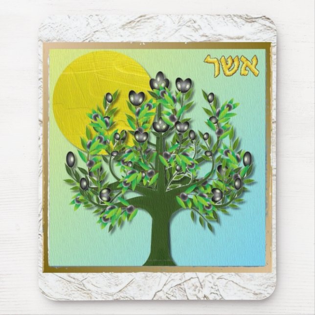 Judaica 12 Israels stammar Asher Musmatta (Framsidan)