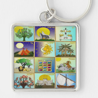 Judaica 12 stammar av Israel Art Panels Fyrkantig Silverfärgad Nyckelring