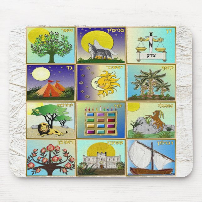 Judaica 12 stammar av Israel Art Panels Musmatta (Framsidan)