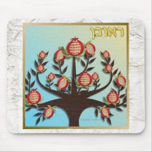 Judaica 12 stammar av Israel Reuben Musmatta