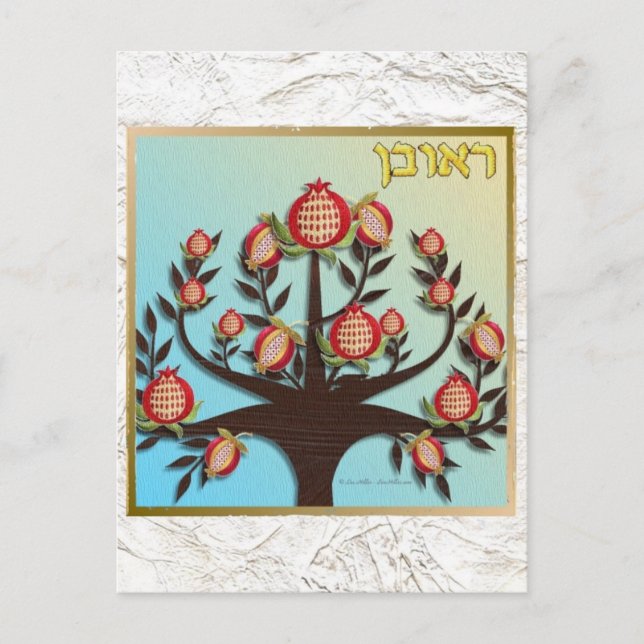 Judaica 12 stammar av Israel Ruben Vykort (Framsida)