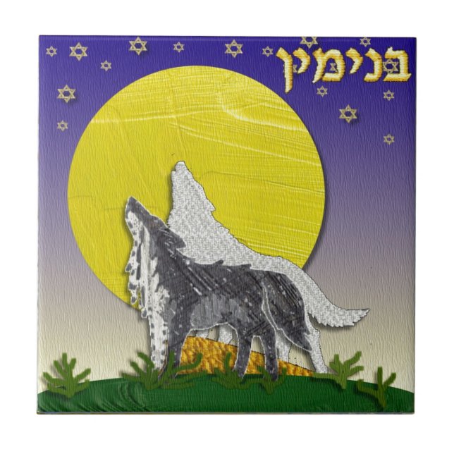 Judaica 12 stammar Israel Benjamin Kakelplatta (Framsidan)