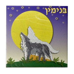 Judaica 12 Tribes Israel Benjamin Kakelplatta