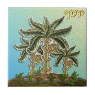 Judaica 12 Tribes Israel Joseph Kakelplatta