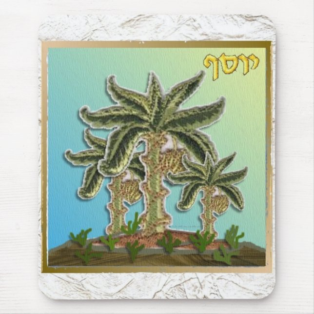 Judaica 12 Tribes Israel Joseph Musmatta (Framsidan)