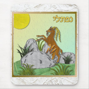 Judaica 12 Tribes Israel Naphtali Musmatta