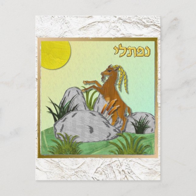 Judaica 12 Tribes Israel Naphtali Vykort (Framsida)