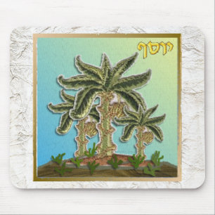 Judaica 12 Tribes of Israel Joseph Musmatta