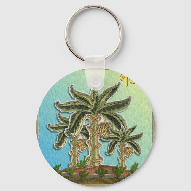 Judaica 12 Tribes of Israel Joseph Nyckelring (Framsida)