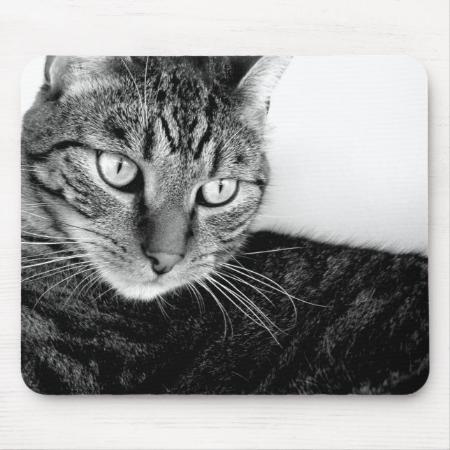 Jude Musmatta (Framsidan)