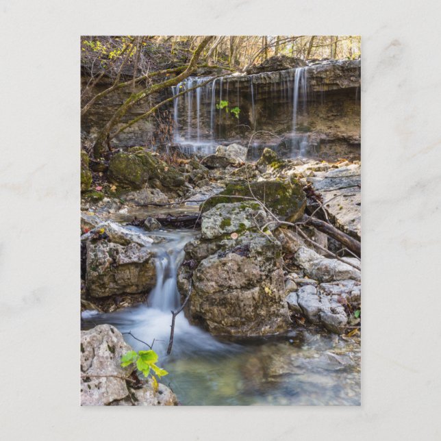 Judee Henning Conservation Blank-kort Vykort (Framsida)