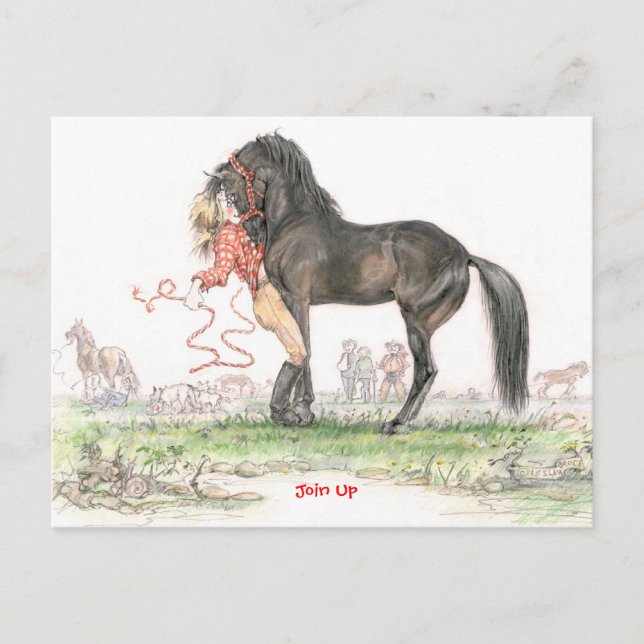 JudeTo JT29-vykort Vykort (Framsida)