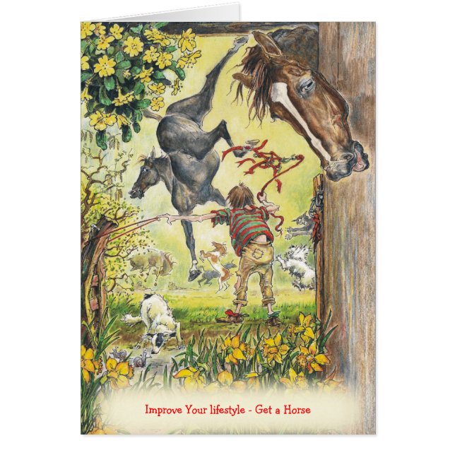 JudeToo JT12 kort (Framsidan)