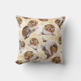 Judgemental Kitten Kudde