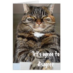 Judgmental Arg Cat Funny håller inte med Hälsningskort
