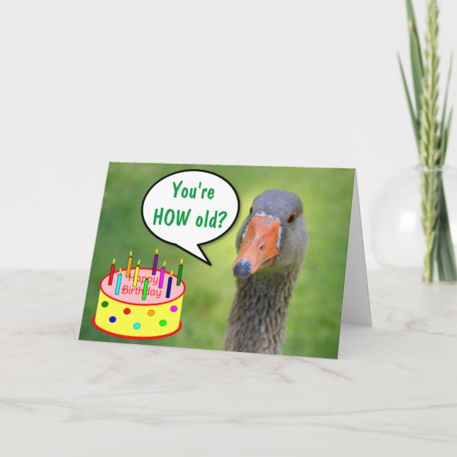 Judgmental Goose Funny Birthday Kort (Framsida)