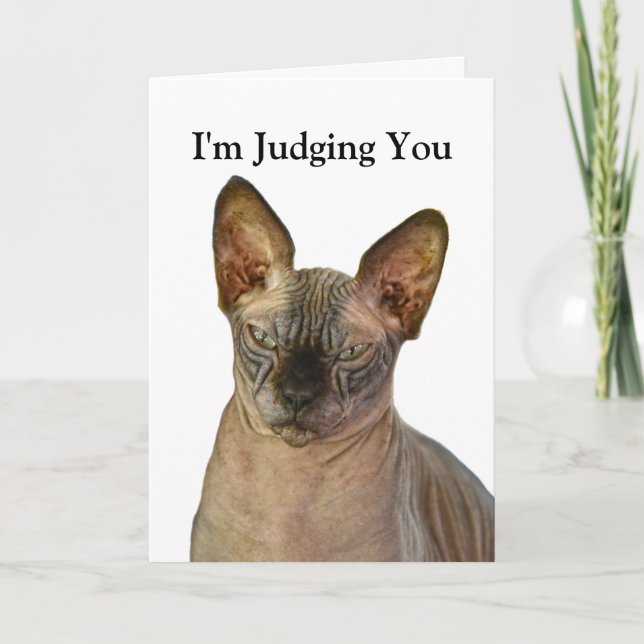 Judgmental Sphinx Cat Grattis på födelsedagen Tack Kort (Framsida)