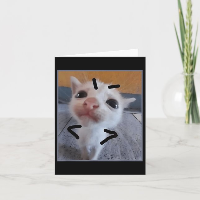 Judgy Kattunge Funny Cat Lover Arg Kitten Meme Cut Kort (Framsida)