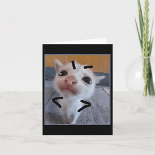 Judgy Kattunge Funny Cat Lover Arg Kitten Meme Cut Kort