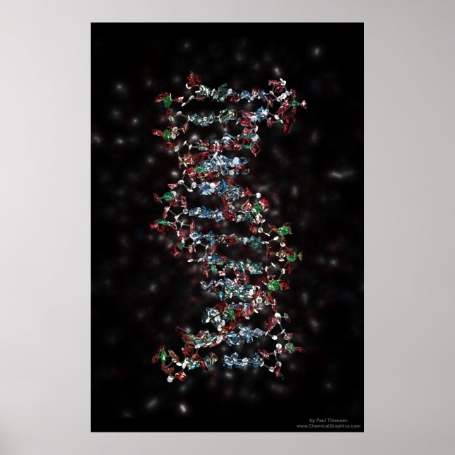 judisk DNA Poster (Framsidan)