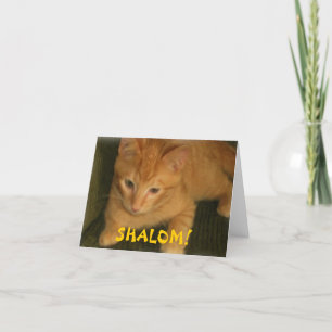 Judiskt hälsningkort för kattunge "SHALOM" Kort