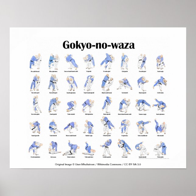 Judo throws poster (Framsidan)