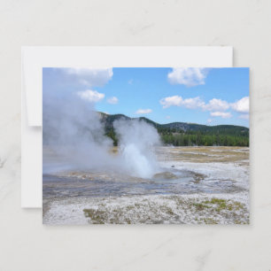 Juel Geyser, nationalparken Yellowstone Vykort