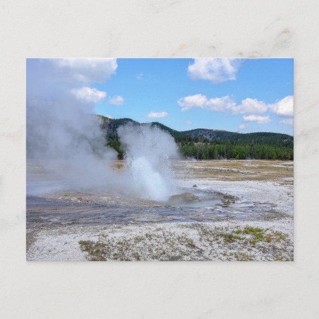Juel Geyser, nationalparken Yellowstone Vykort (Framsida)