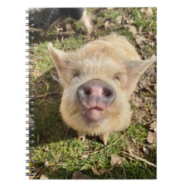 Juggling Daisy Mona bärbar dator Anteckningsbok