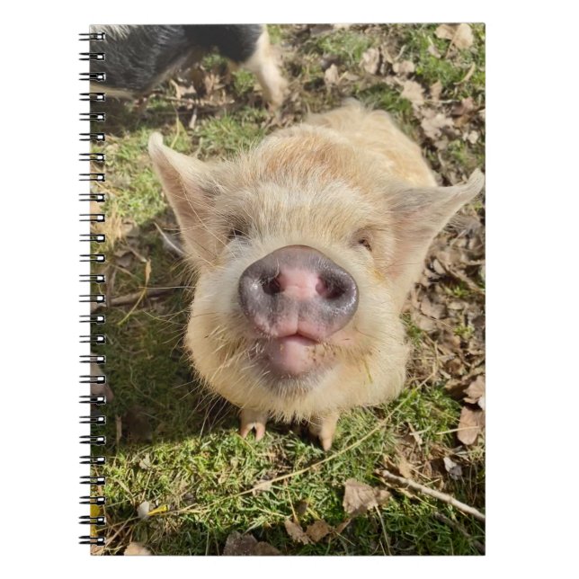 Juggling Daisy Mona bärbar dator Anteckningsbok (Framsidan)