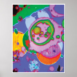 Juicey KC avbildar Poster