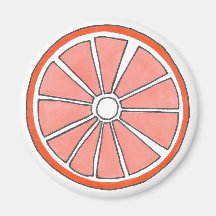 Juicy Florida Orange Citrus Fruit Segce