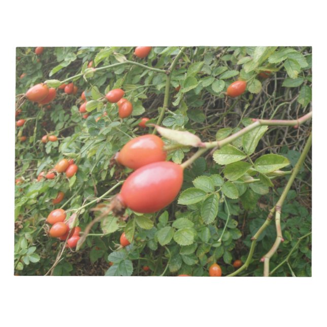 Juicy Röd ros Hips Anteckningsblock (Framsida)