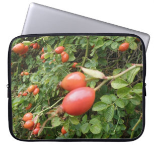 Juicy Röd ros Hips Bärbar dator Laptop Sleeve