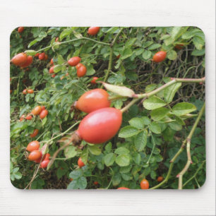 Juicy Röd ros Hips Mousepad Musmatta