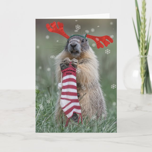 Jul 2020 kort (Framsida)