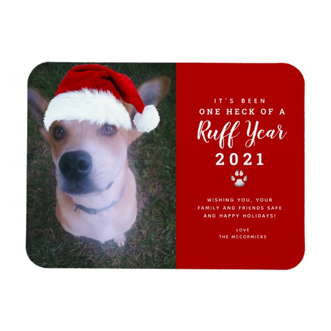 Jul 2021: Rolig hund fotfoto 2021 Magnet (Horisontell)