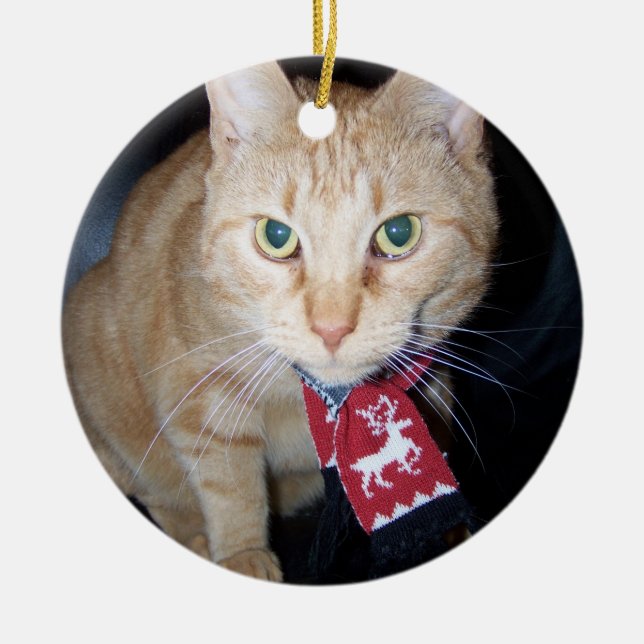 Jul 2025 Orange Katt Wearing Scarf Ornament (Framsidan)