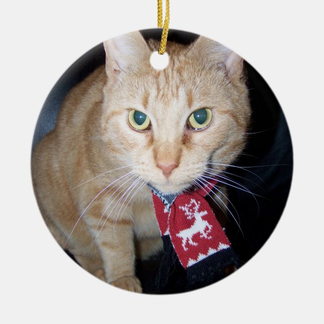 Jul 2026 Orange katt som bär halsduk Ornament (Framsidan)