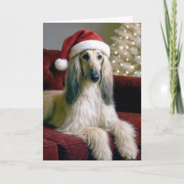 Jul afghansk hund på en sammetskuch kort