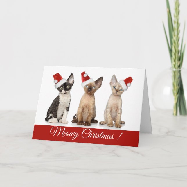 Jul| Äkta julkattungar Helgkort (Framsida)