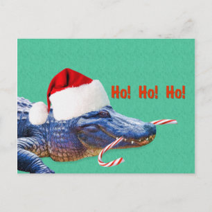 Jul, Alligator med Santa Hat Helg Vykort