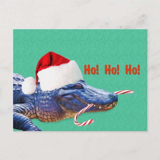 Jul, Alligator med Santa Hat Helg Vykort (Framsida)
