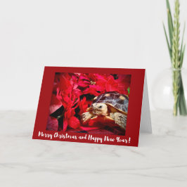 Jul Baby Sulcata Turtle och Red poinsettias Kort